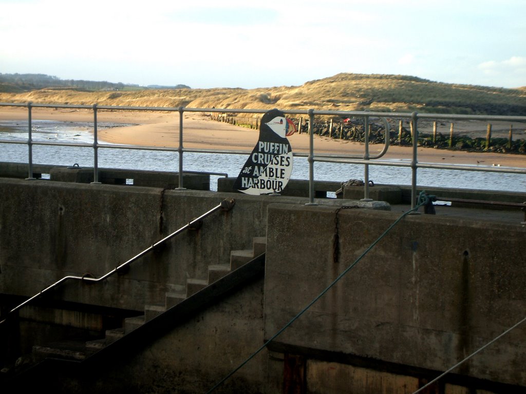 Amble Harbour by cassiangel