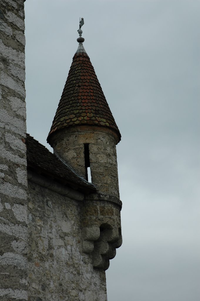 Tour du Chateau de Montrottier by pilouKa