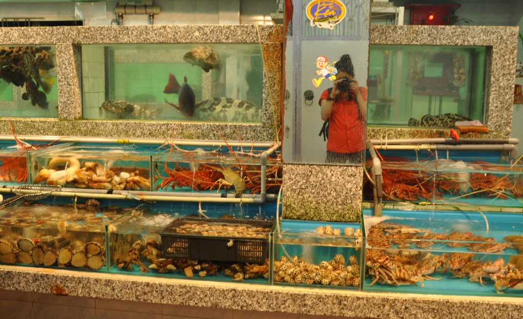 Buying fresh seafood at seafood market stalls to be cooked at a restaurant, Lei Yue Mun by Janette Lee