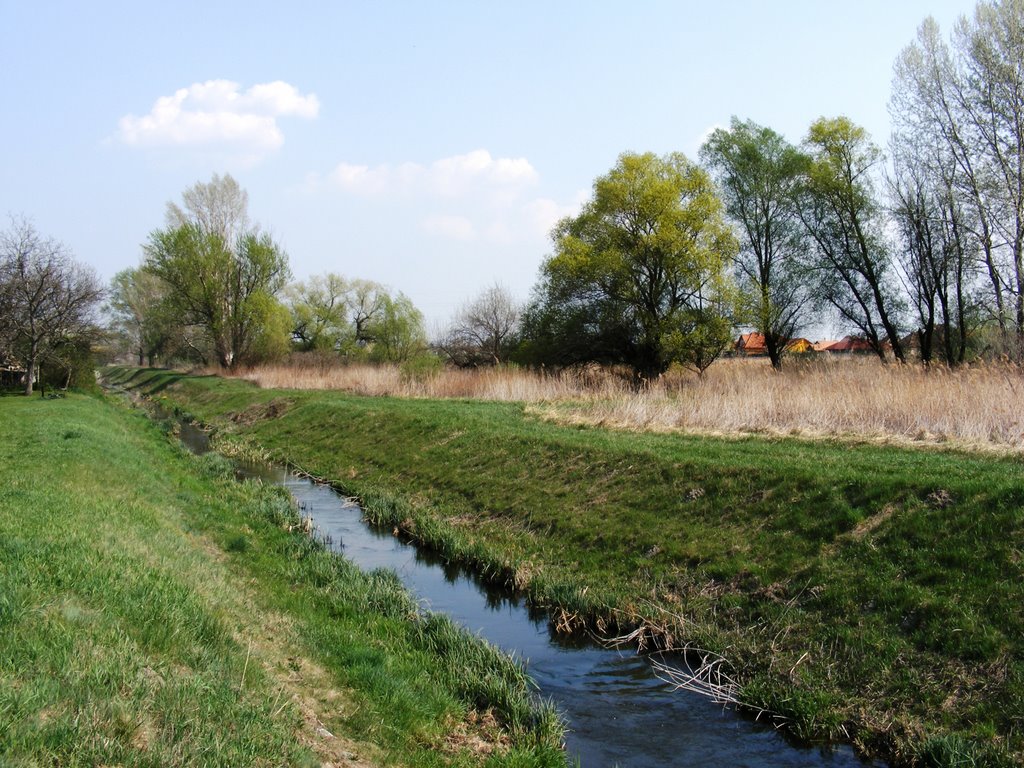 Sződ Határ út vége by Józsi31