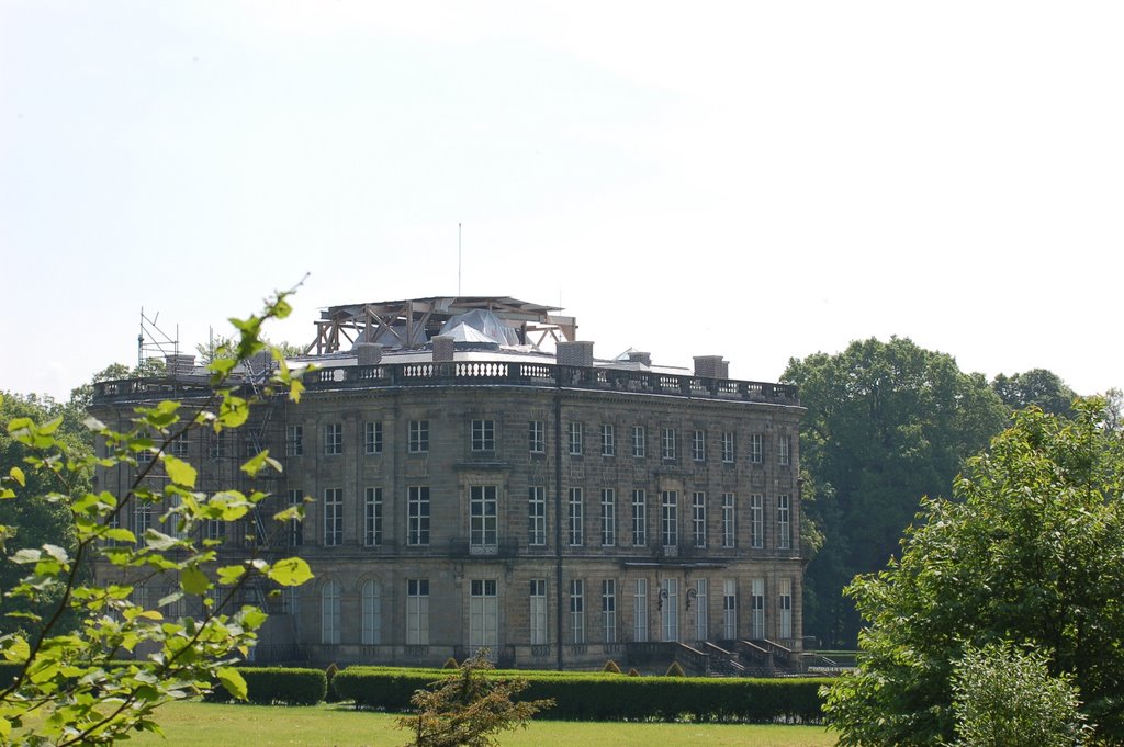 Chateau de l'hermitage, forêt de bon secours by stéphane Boulnois