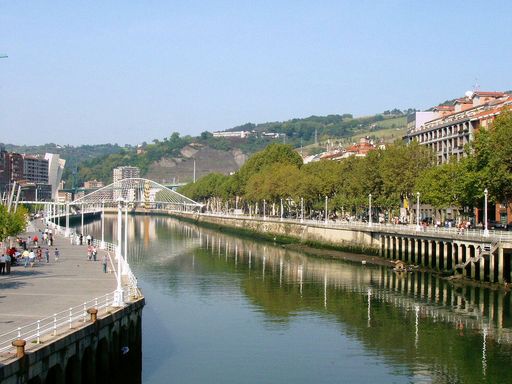 La Ria y El puente de Zubizuri, Bilbao, España by Antonio Alba