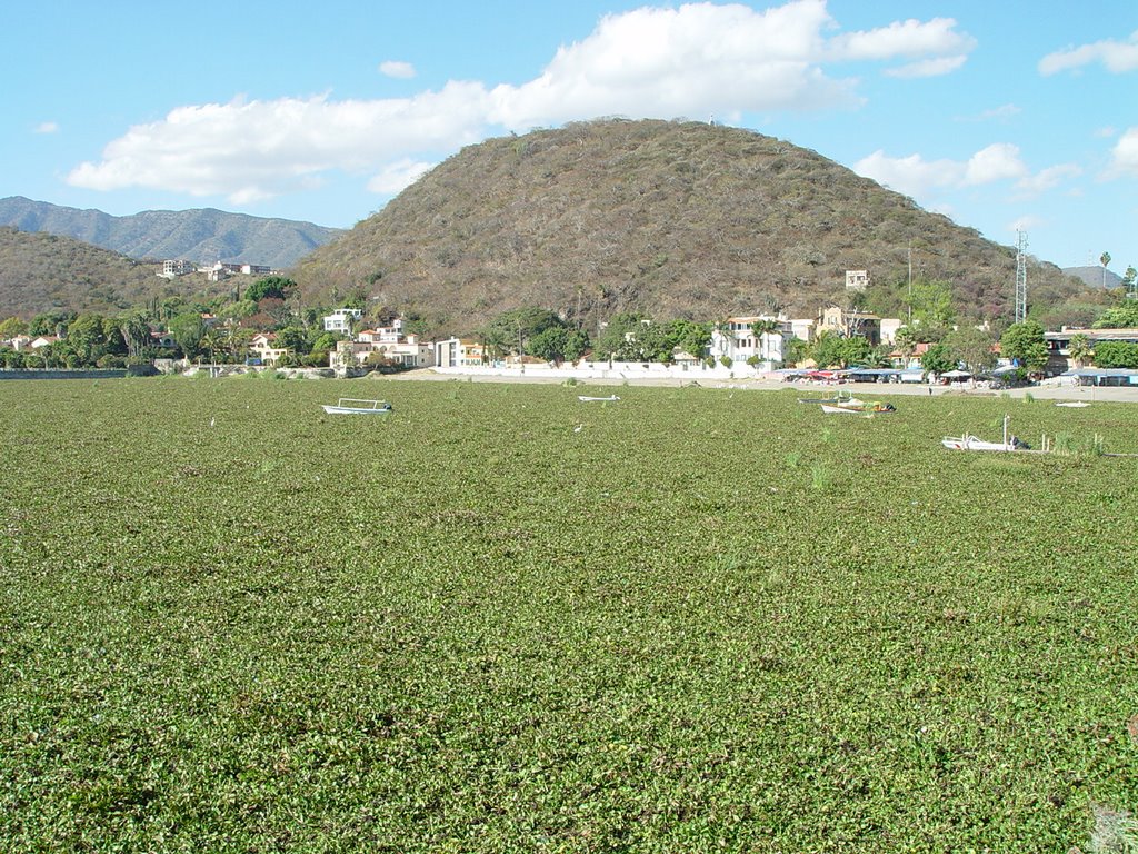 Lake Chapala by Peter Pontell