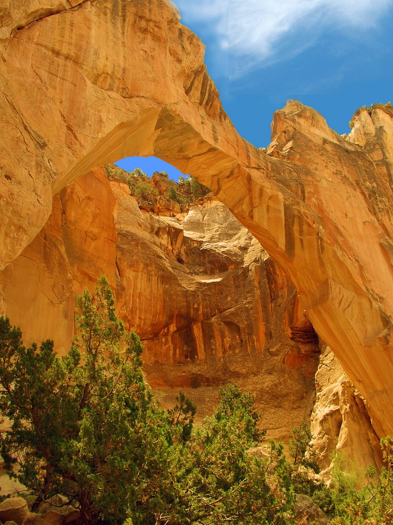 La Ventana Natural Arch, El Malpias National Monument by Steve Schmorleitz, NationalParkLover.com