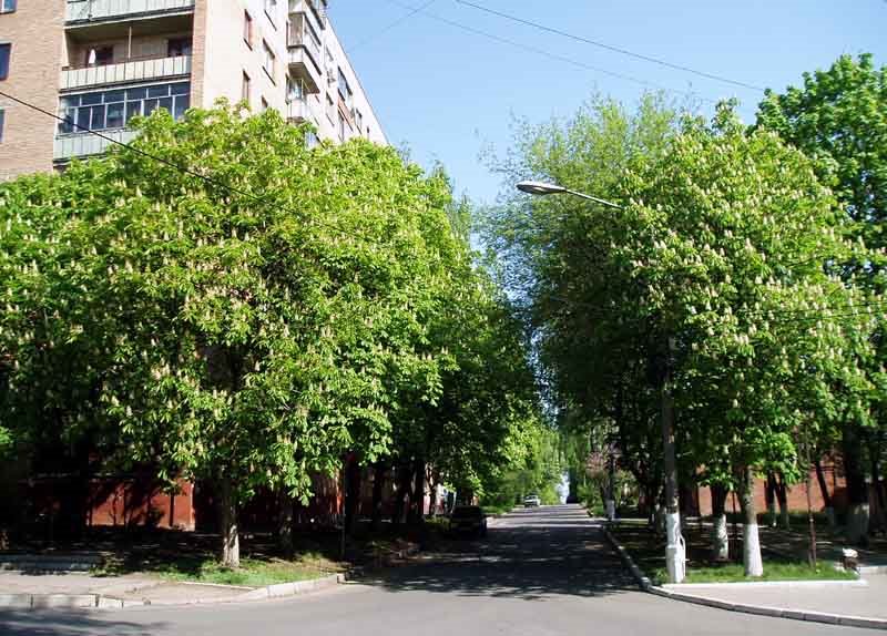 Blinov street by Sergei Sarychev