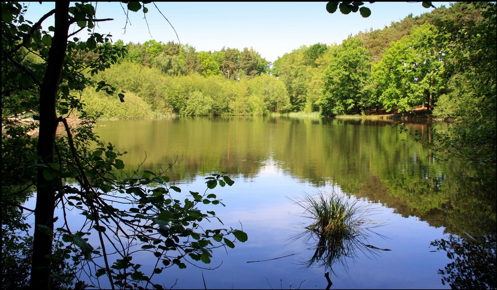 Pechpfuhl - Landschaftsschutzgebiet - Ludwigsfelde im Landkreis Teltow-Fläming by Ralf Pätzold, Berlin