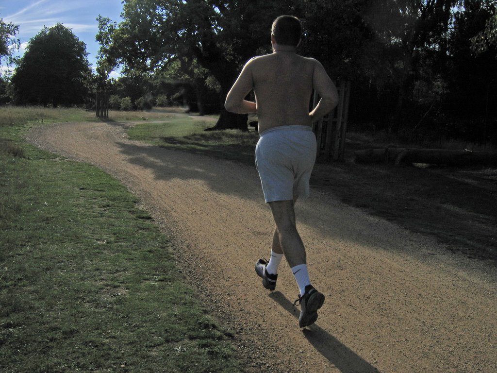 Jogger, Richmond Park, Surrey, UK by David Wilson