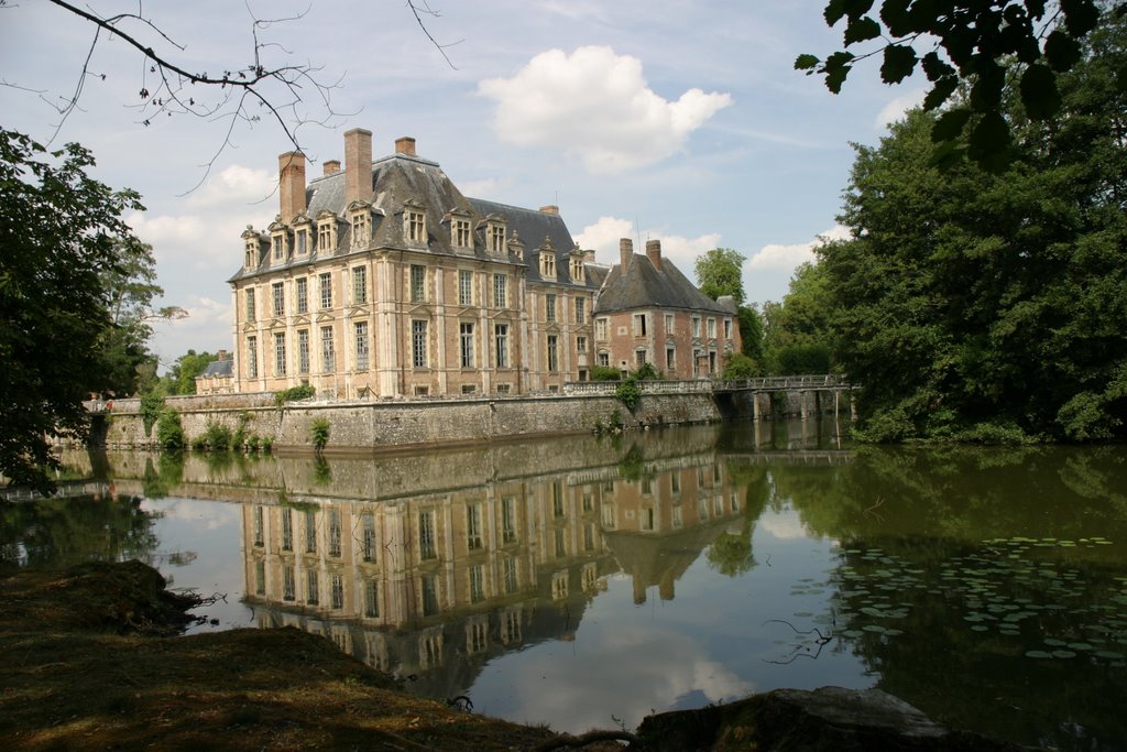 La Ferté-Saint-Aubin - Le château by Elymalijo