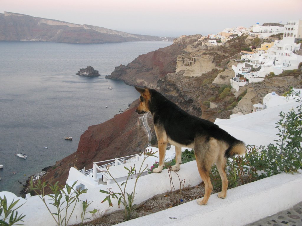 Santorini Island, Oja by Alexey Barmin