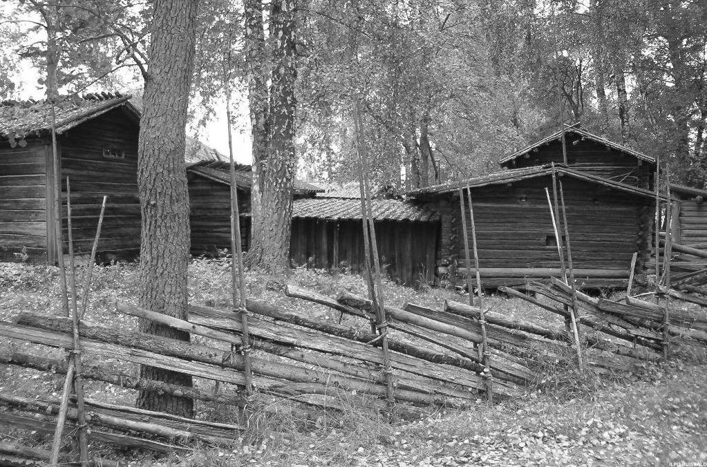 Seurasaari 1 by Ilpo Ruissalo