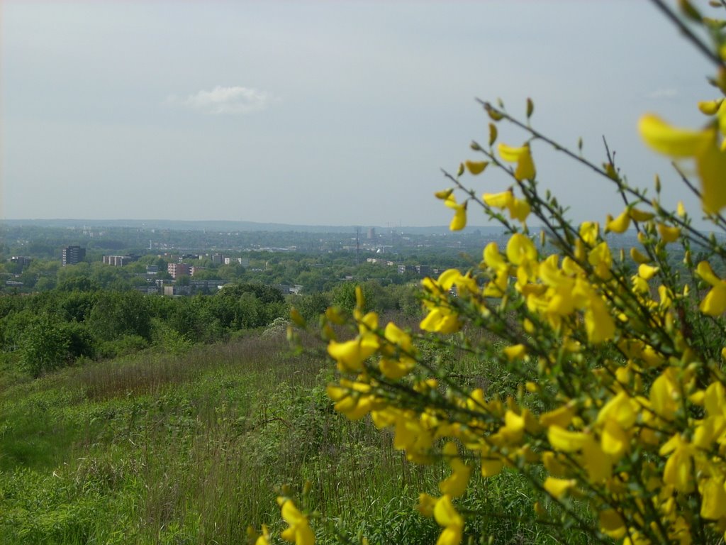 Dortmund-Grevel(Dortmund-Scharnhorst) Mai 2009 by DortmundWestfalica