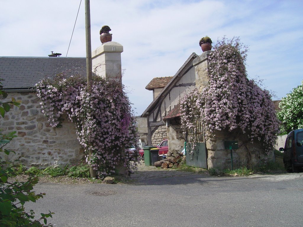 Encore des arbustes en fleur dans le Vexin français by peter12175