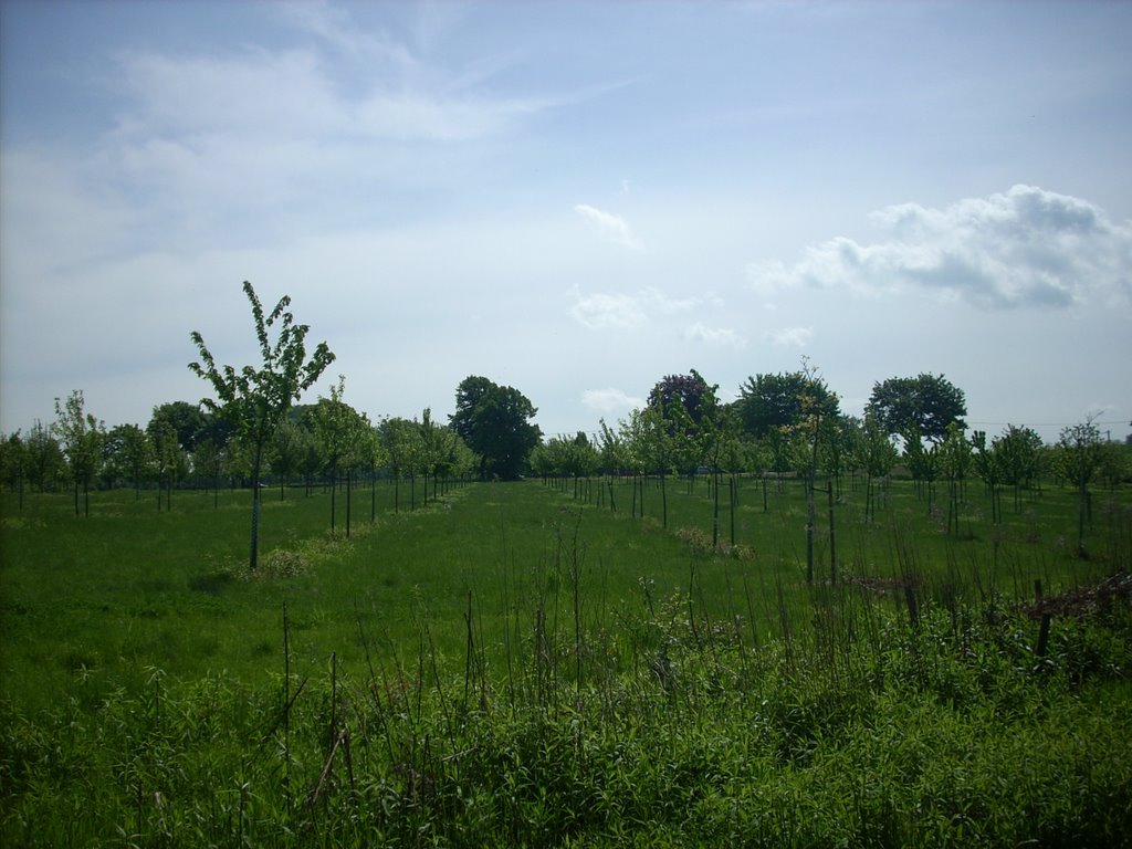 Dortmund-Lanstrop (Naturschutzgebiet) Mai 2009 by DortmundWestfalica