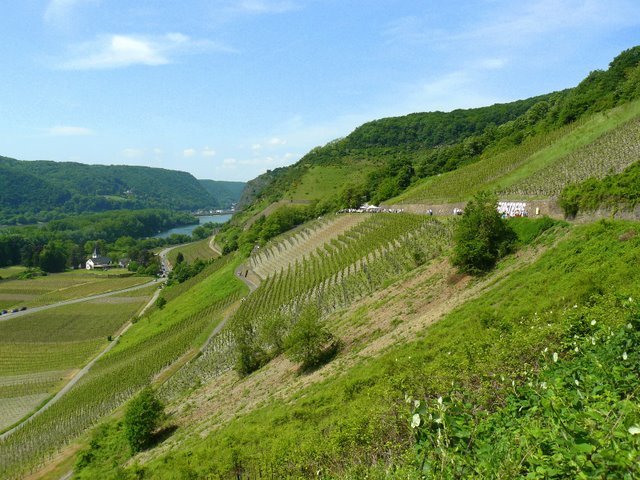 Leutesdorf, Germany by elazago