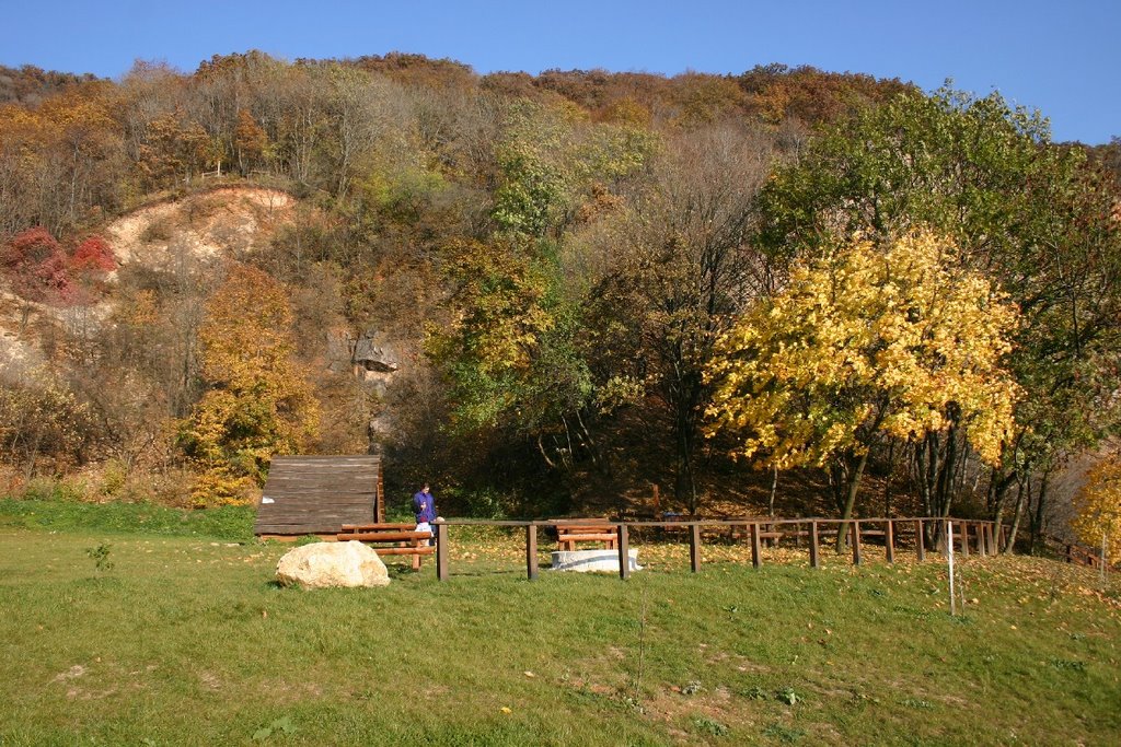 Bottom of Fortress Csókakő, Fejér, Hungary by MBagyinszky