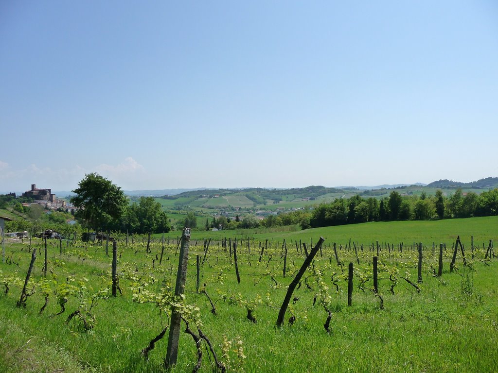 Paesaggio del Monferrato (AL) by Ilda Casati