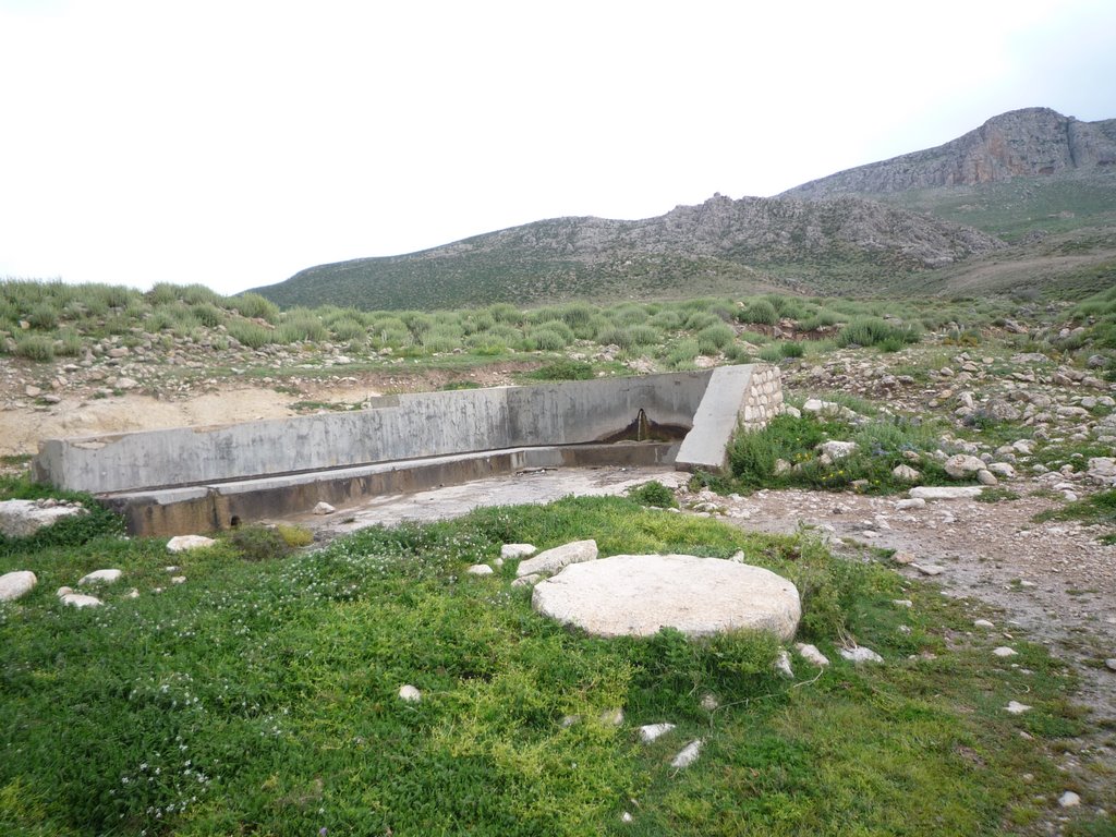 La source entre la Table de Jugurtha et Rebiba by Kamel Lakhdar