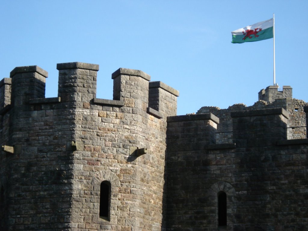 Cardiff Castle - © Émerson-V by Émerson-V