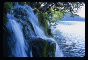 Lush Croatia by Cameron I. Duncan