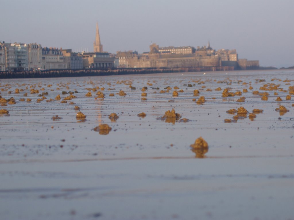 Saint Malo morning by dtreschov