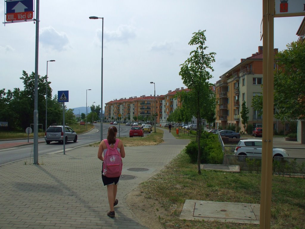 Káposztásmegyer-II lakótelep, Megyeri út-Homoktövis utca sarok, 2009 május 11-én by Vastalicska