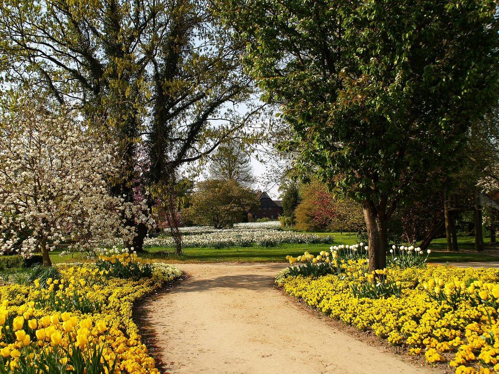 Thiensen (D) - Blumenwiese vor dem Münsterhof im 'Arboretum' I by HeinzBa