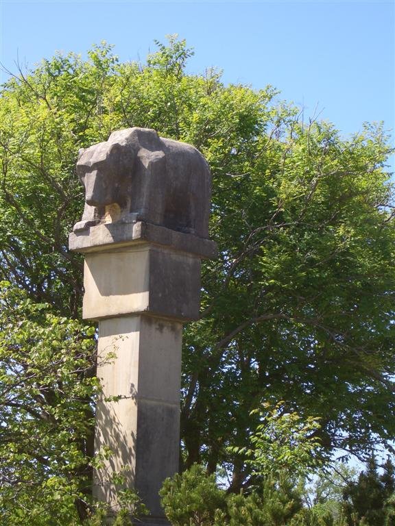 Bear, limestone by Don Philby, Sunset Zoo, Manhattan, KS by marnox1