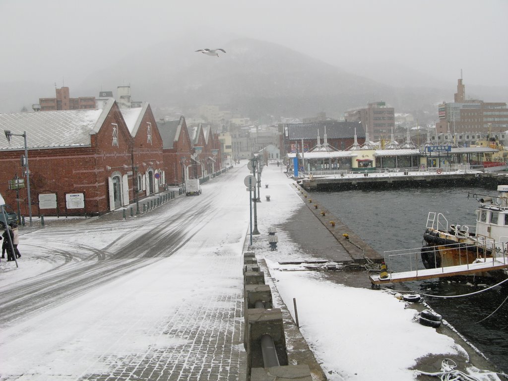 Ｈａｋｏｄａｔｅ by Roberto Saito