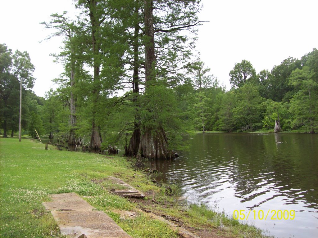 Leroy Percy State Park, Mississippi by shawnb1