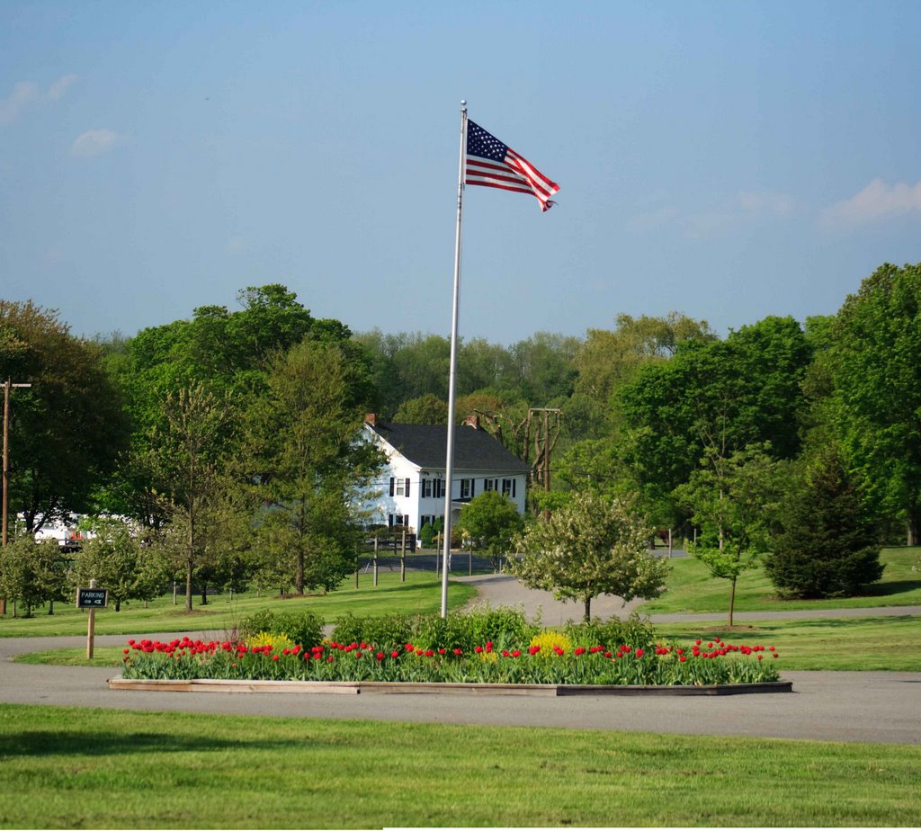 Flag Garden by Matthew Plante