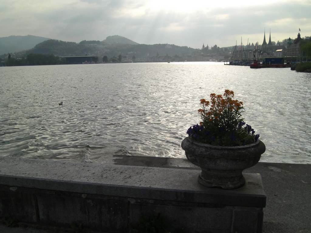 Lucerne by gteapot