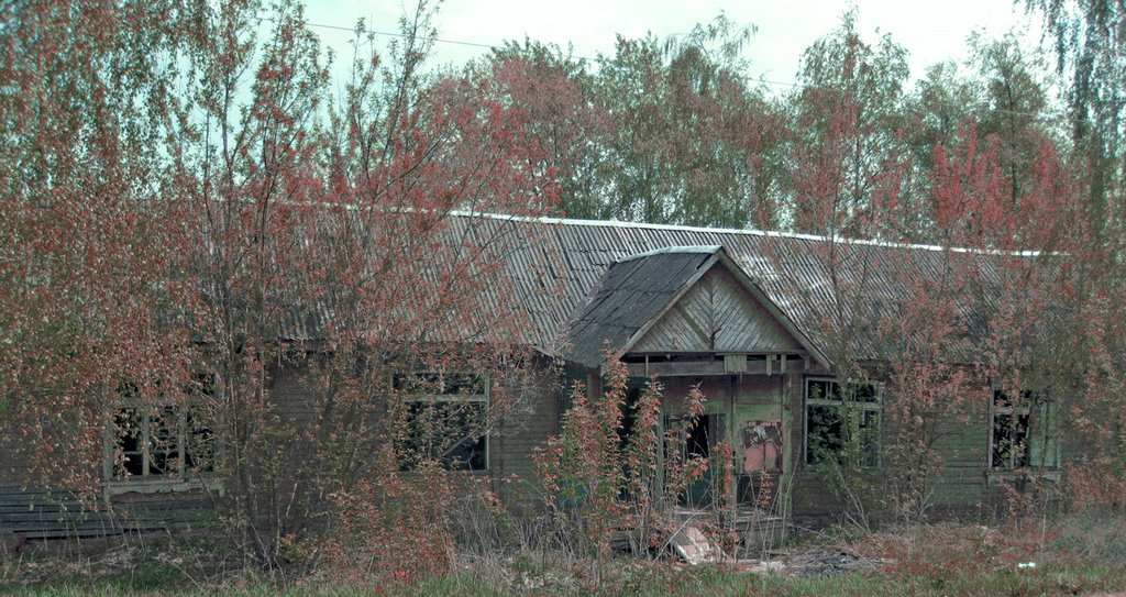 Malakhovo, Abandoned House by Aleksander Balykov