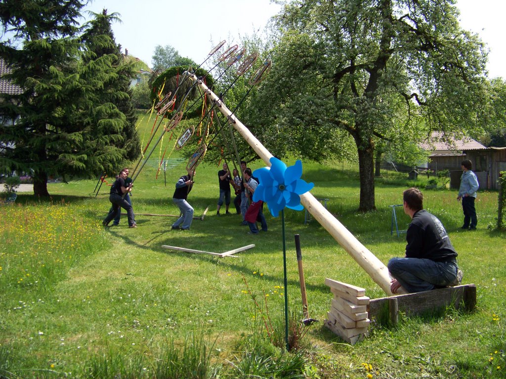 Maypole - Maibaum by Sugar Maple