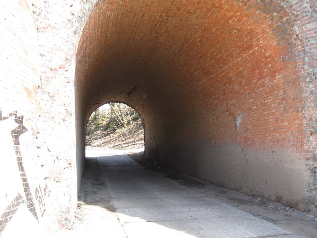 Szlak Zwiniętych Torów Kolejowych Gdańsk-Kokoszki, tunel pod nasypem by cww