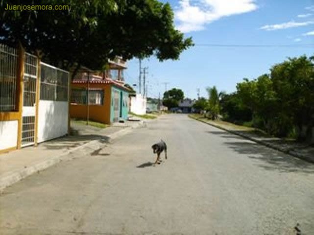 Barrio Coro by Juanjosemora.com