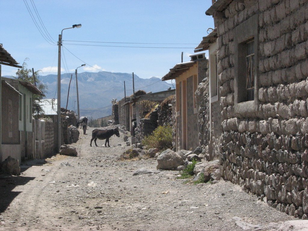 Street of Maca by Jan Eriksen