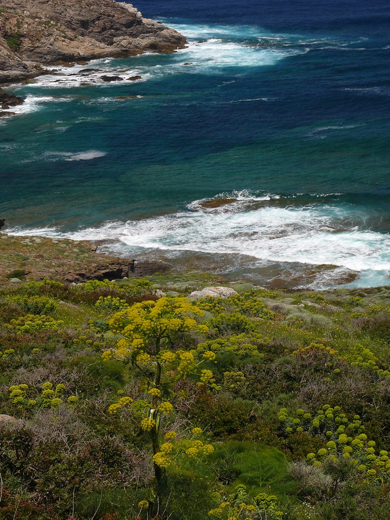 ASINARA4X4.COM TERRA E MARE by onchiles