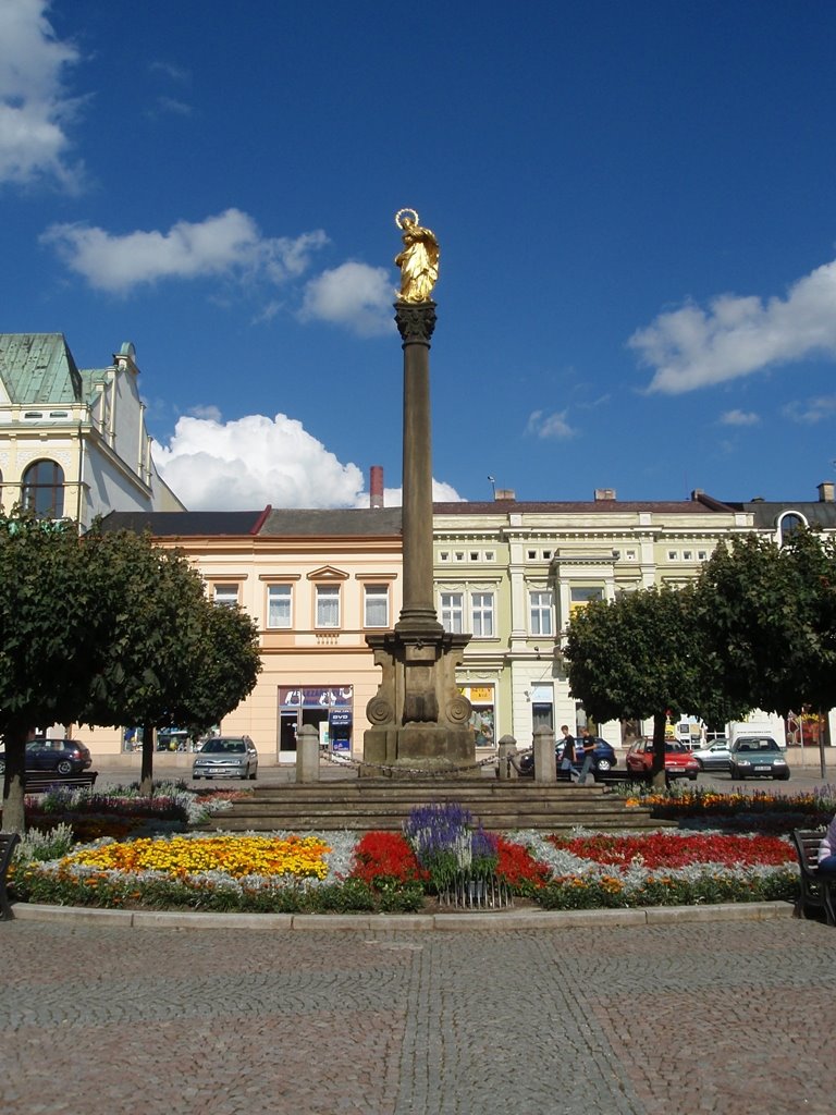 Ústí nad Orlicí - Morový sloup uprostřed Mírového náměstí - Usti nad Orlici - Plague Column in the middle Peace Square by votoja - CZ