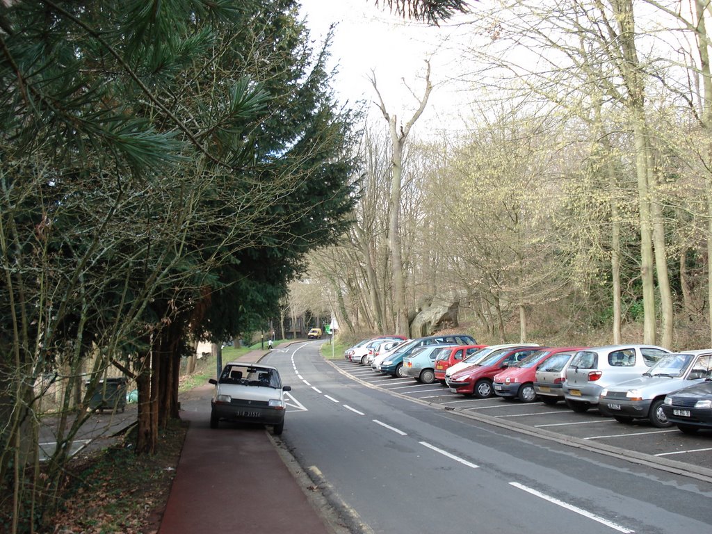 University of Paris XI - Street view by Adriano Silvério