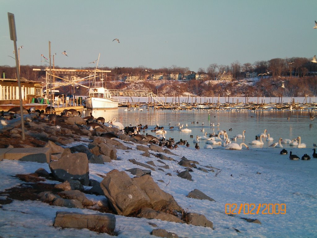 Irondequoit Bay Outlet Winter by DG49