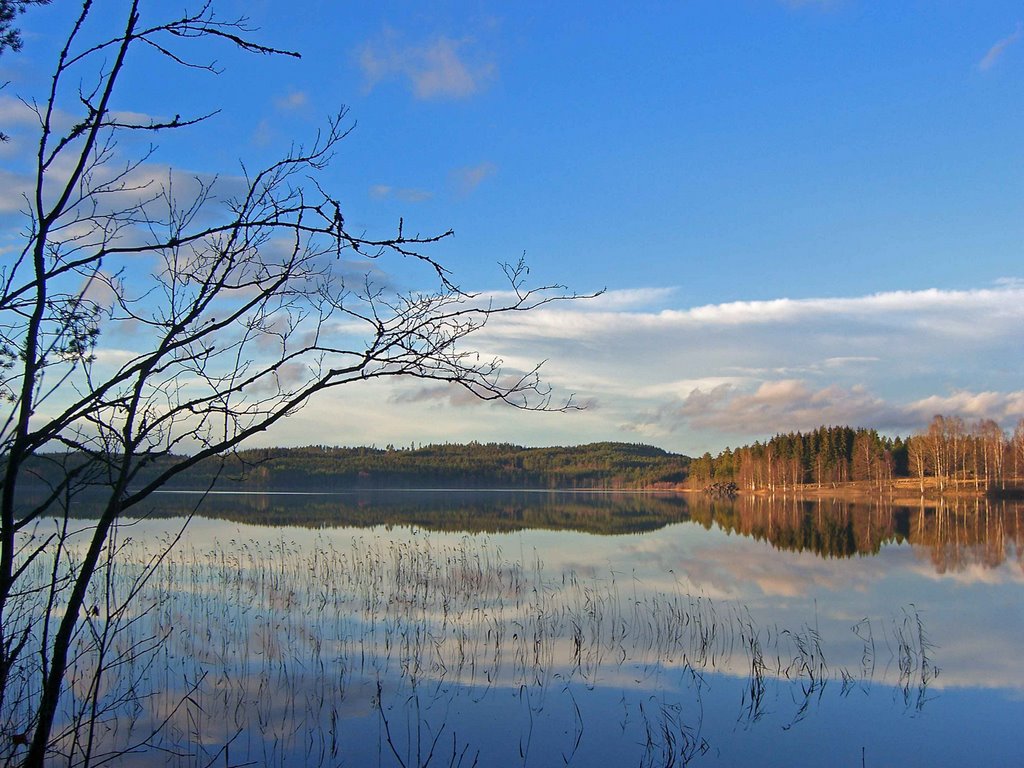 Baksjøen in Åsnes, Hedmark by Joehenri