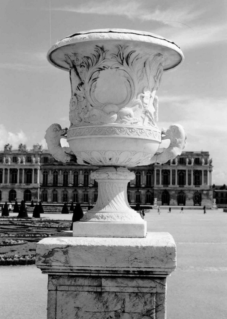 Château de Versailles - Terrasse du Midi - Vase by ErickTabs