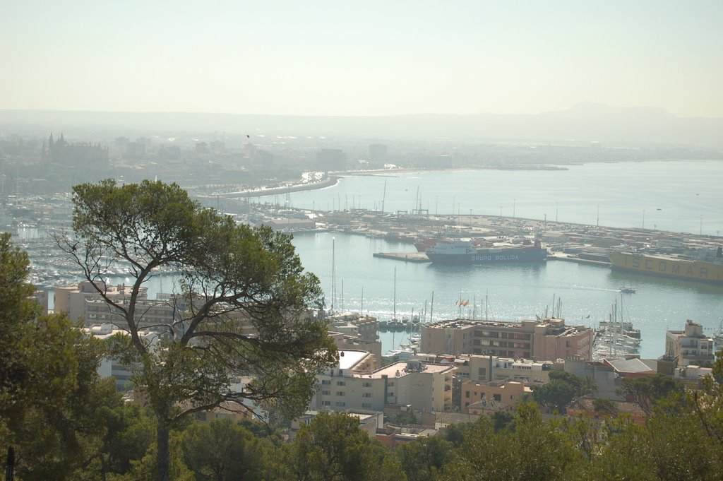 Port at Palma by JohnBe