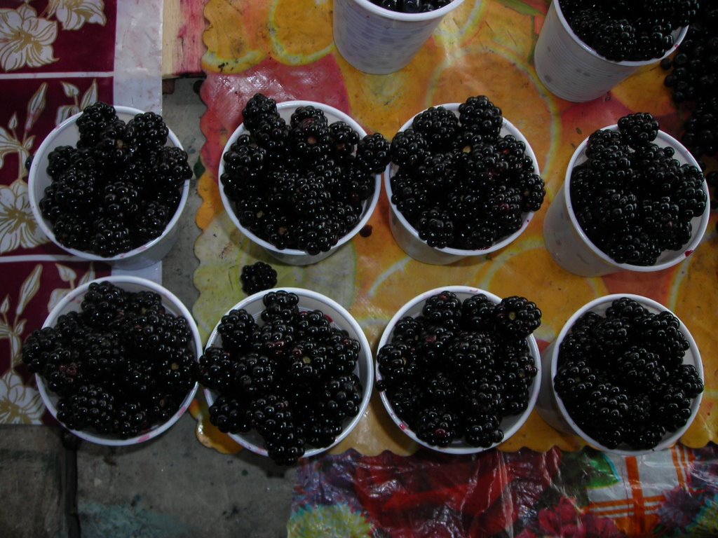 Frutos del bosque en vasitos para vender. Sinaia, agosto de 2006, durante mi Tercer Viaje a Rumania by viajeroandaluz