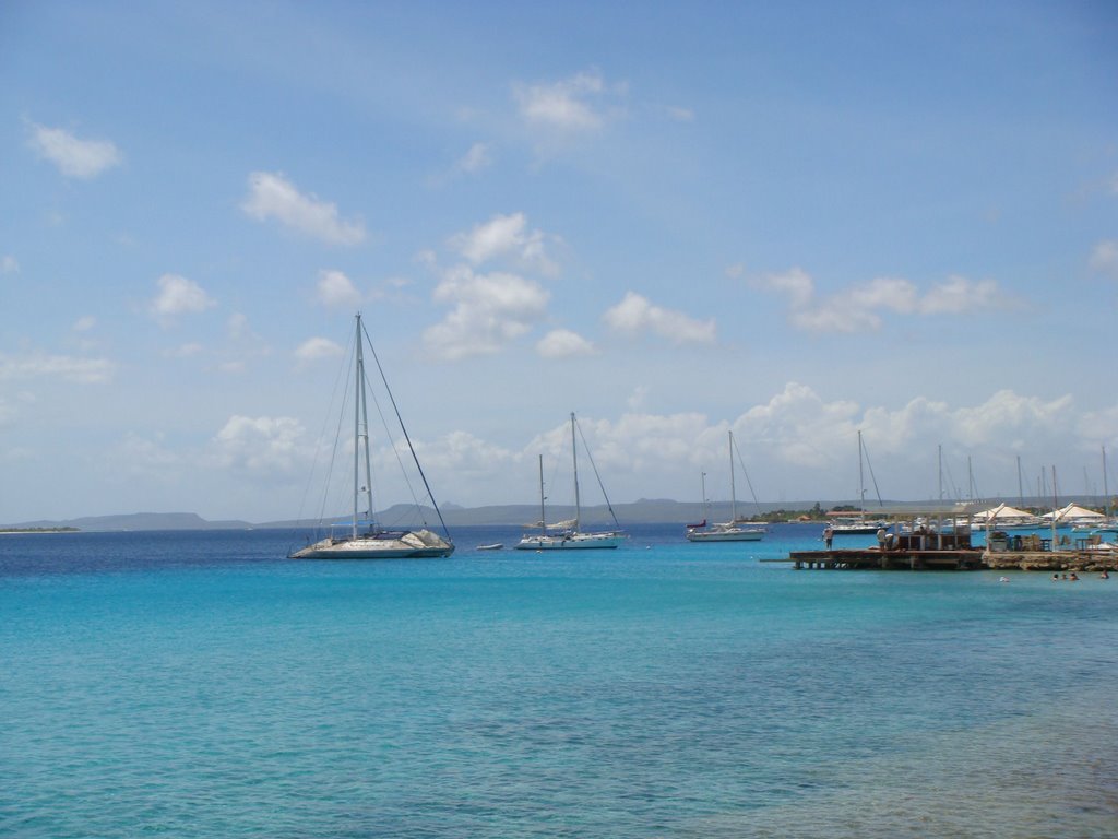 Muelle de Bonaire by Carlos Eduardo Rivera Rodríguez