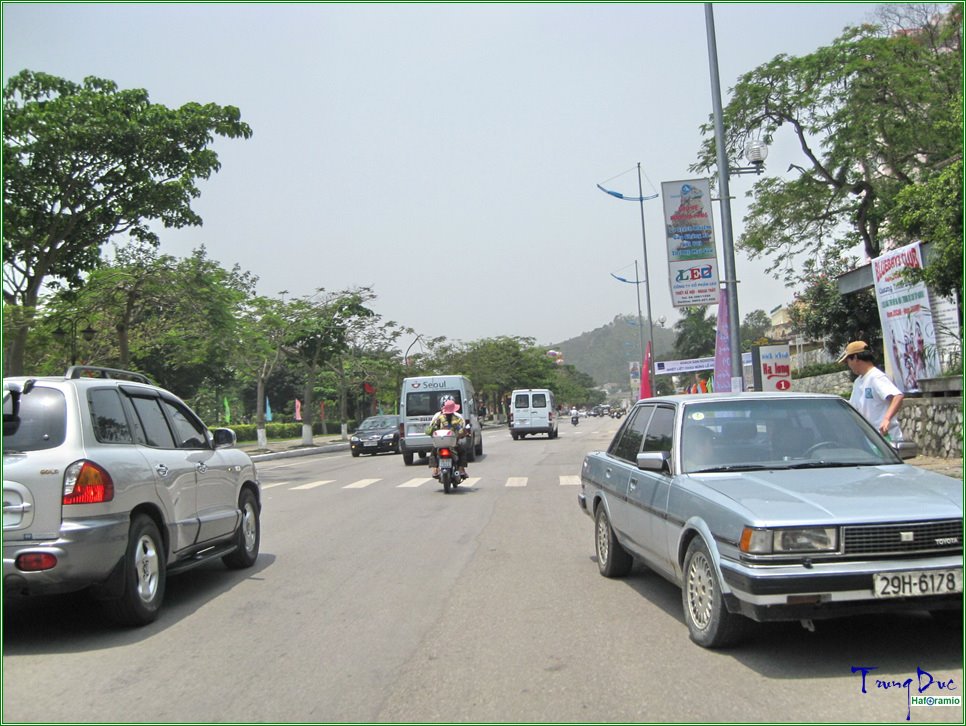 Đường Thanh Niên by Trung Đức