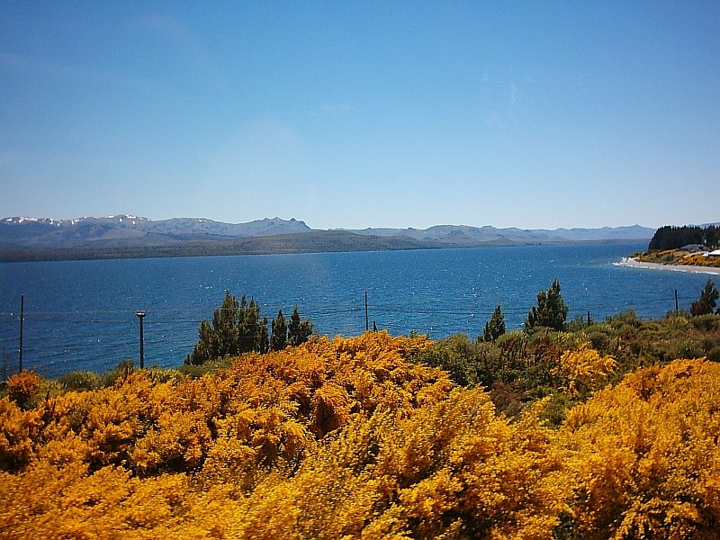 San Martin de los Andes MAC by Mario Cavagnaro