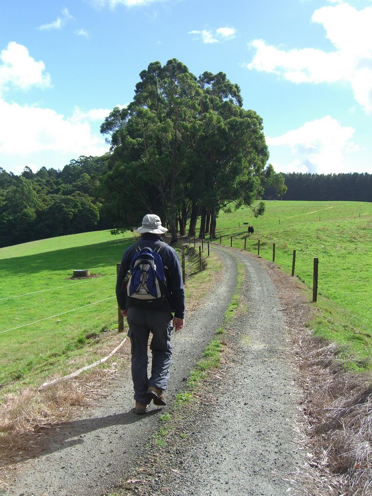 Old Beechy Railtrail by ambulator