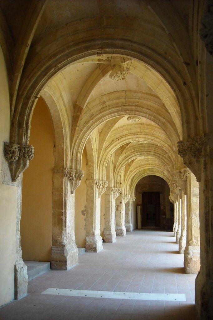 Chiostro di San Domenico by cristiano