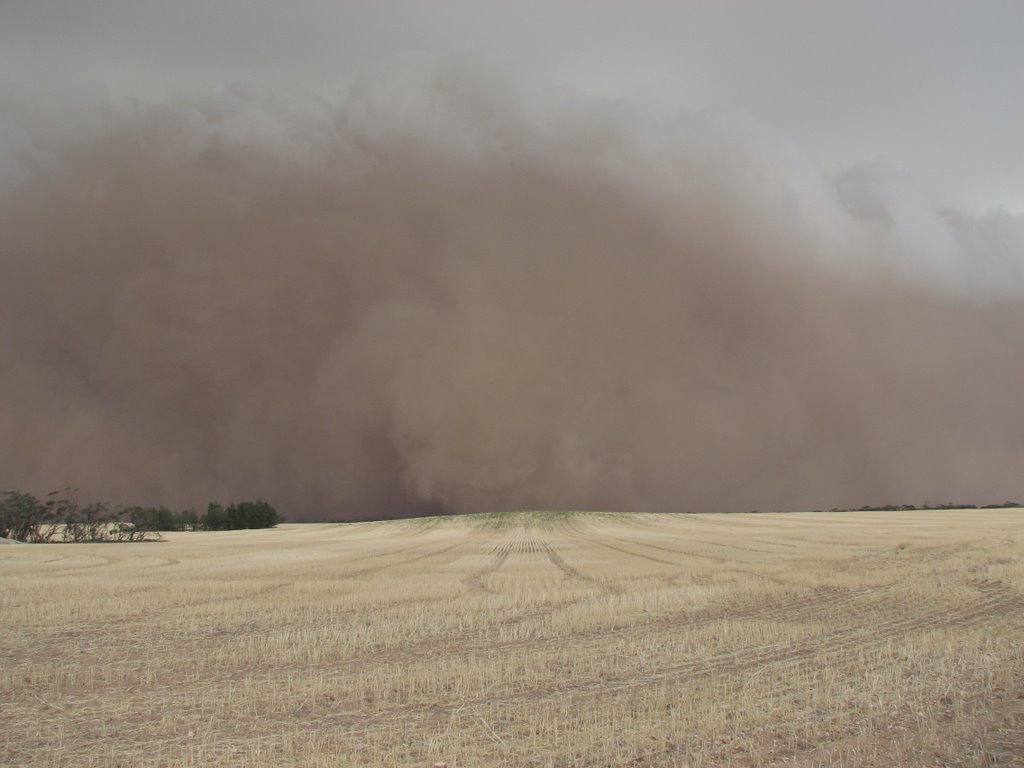 Dust Storm Jan 07 by Len Gibson (Ozimage)